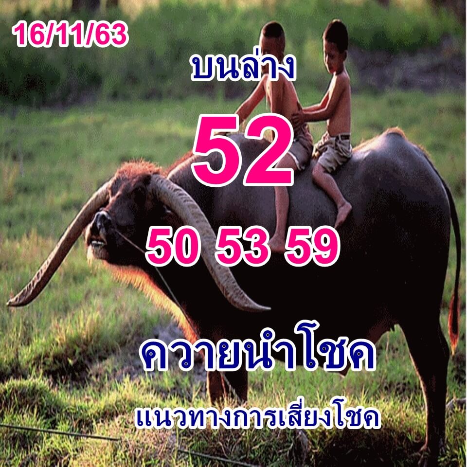 หวยควายนำโชค 16/11/63