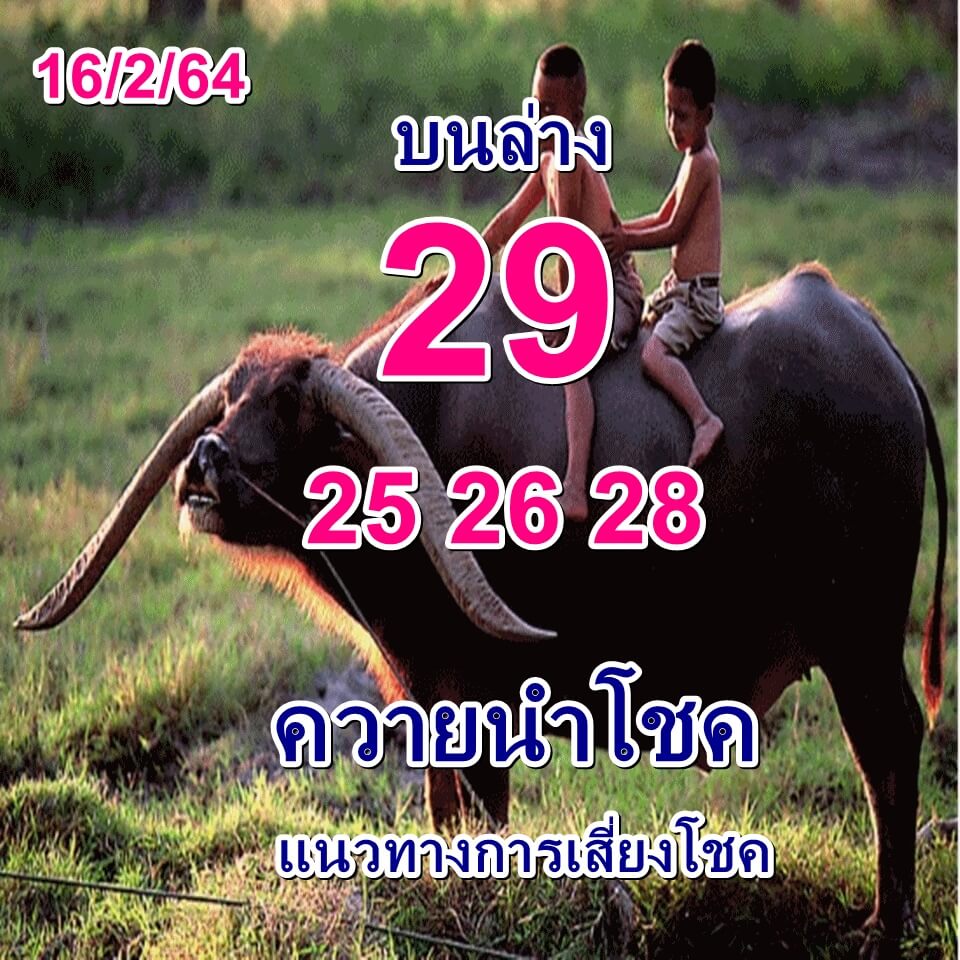 หวยควายนำโชค 16/2/64