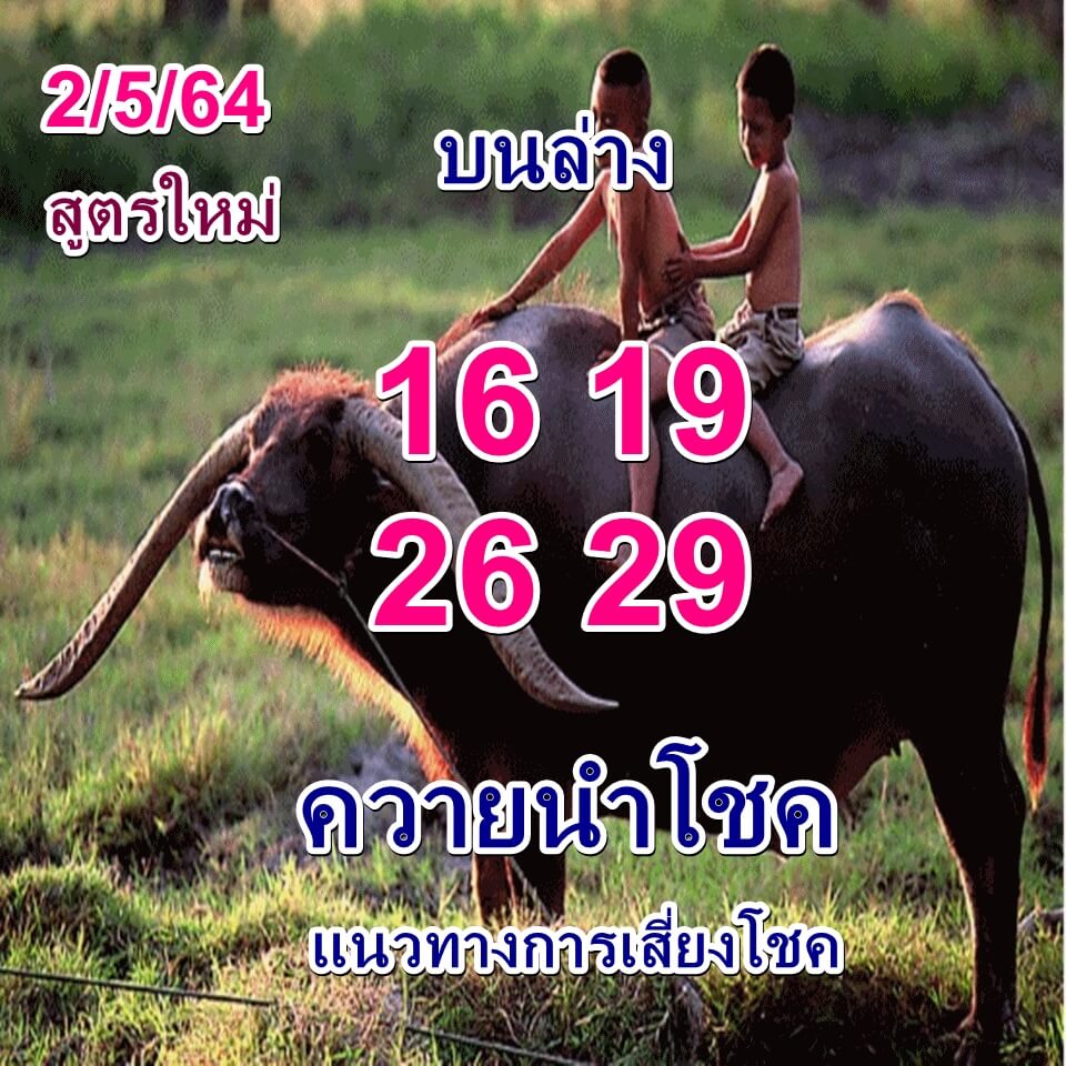 หวยควายนำโชค 2/5/64