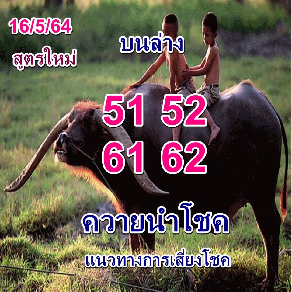 หวยควายนำโชค 16/5/64