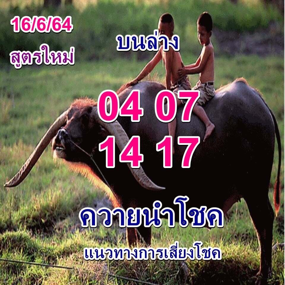 หวยควายนำโชค 16/6/64