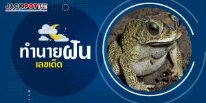 ทำนายฝันเกี่ยวกับคางคก