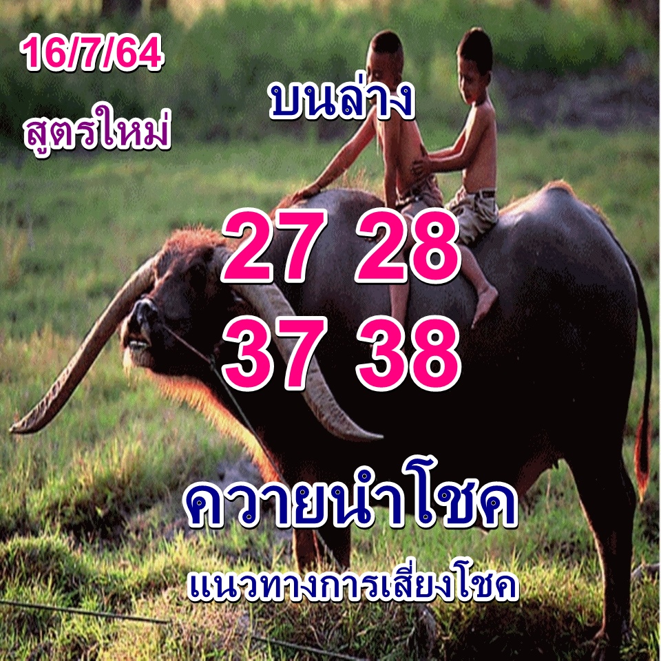 หวยควายนำโชค 16/7/64