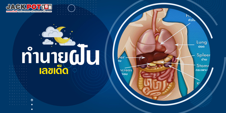 ทำนายฝันเกี่ยวกับตับไต