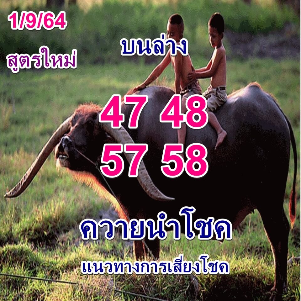 หวยควายนำโชค 1/9/64