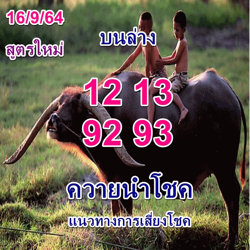 หวยควายนำโชค 16/9/64