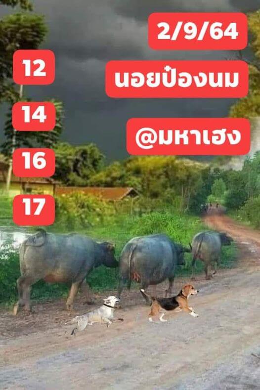 หวยฮานอย 2/9/64 ชุดที่ 1