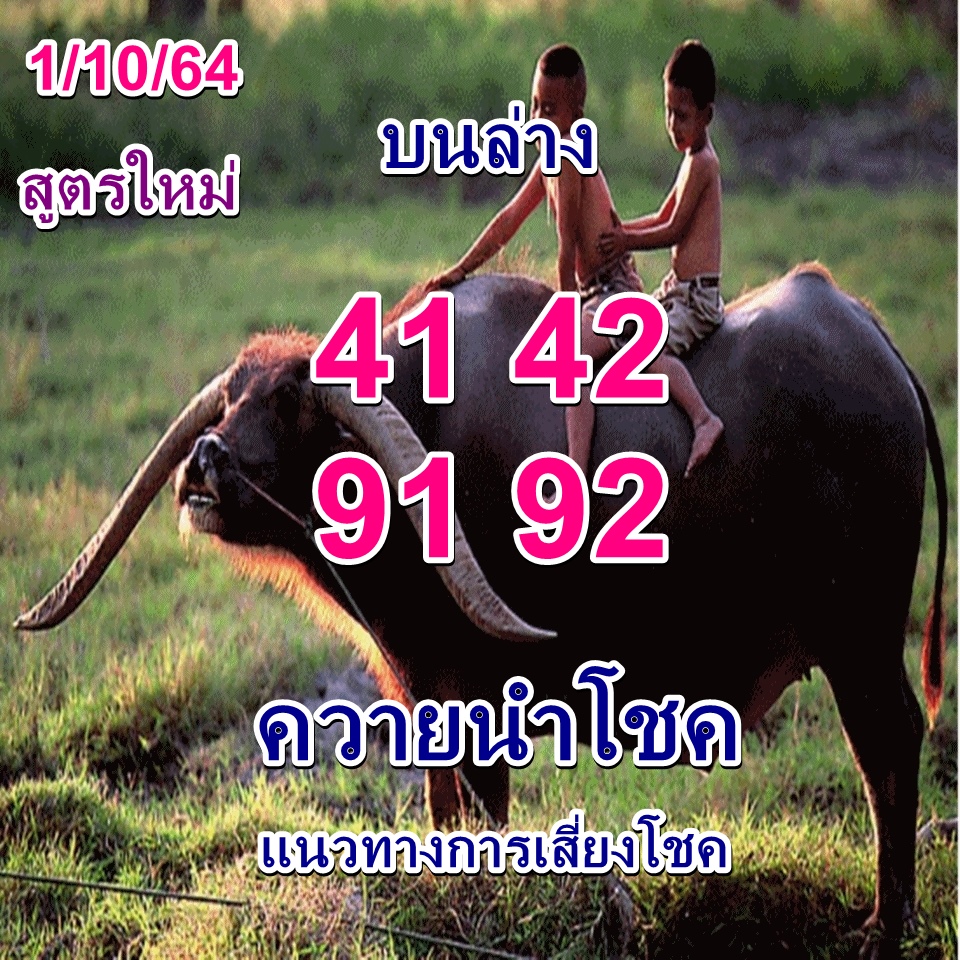 หวยควายนำโชค 1/10/64