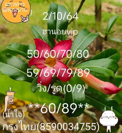 หวยฮานอย 2/10/64 ชุดที่ 1