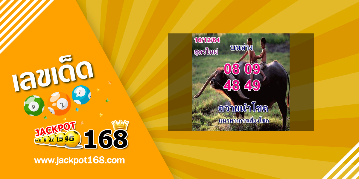 หวยควายนำโชค 16/12/64 แนวทางการเสี่ยงโชค บน-ล่าง สูตรใหม่!