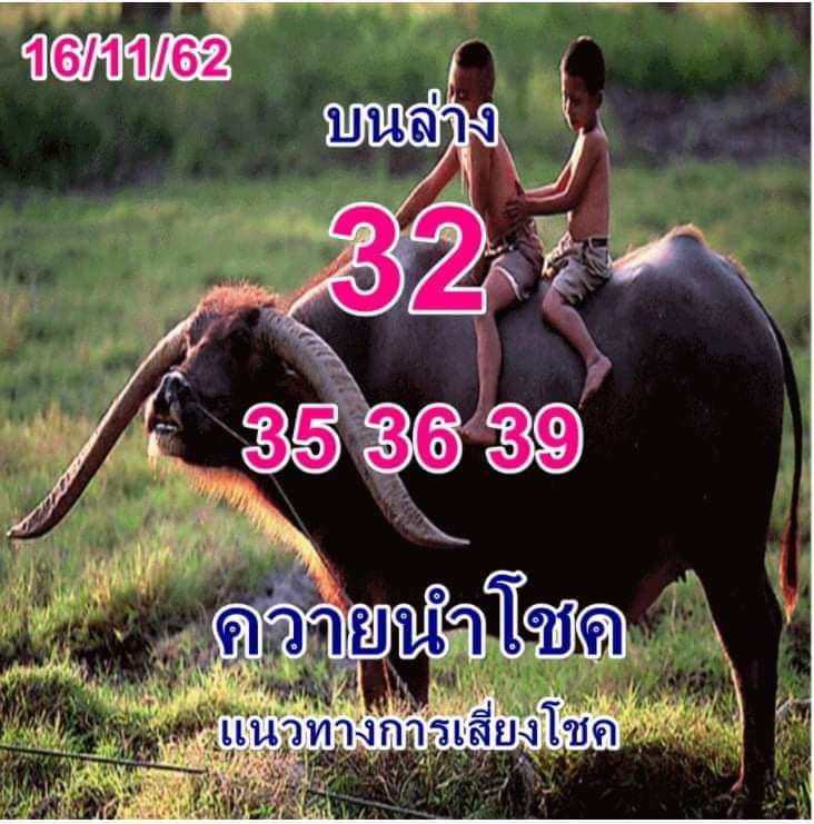 หวยควายนำโชค 16/11/64