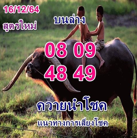 หวยควายนำโชค 16/12/64