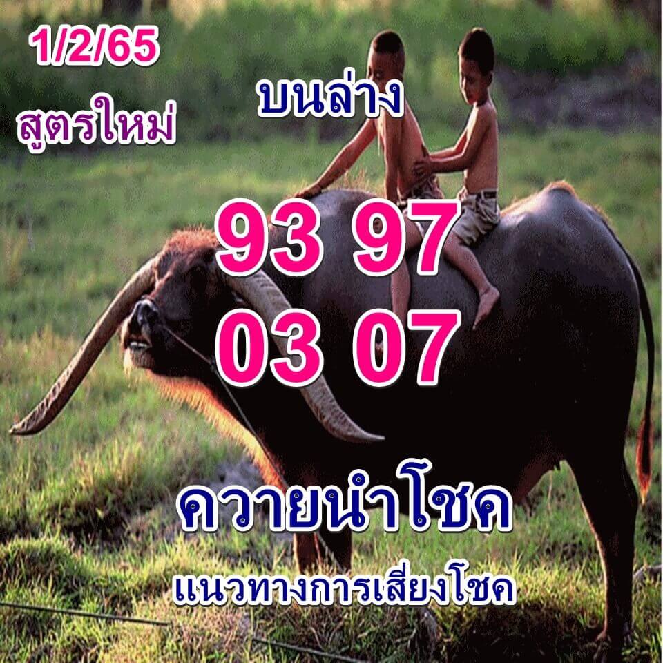 หวยควายนำโชค 1/2/65