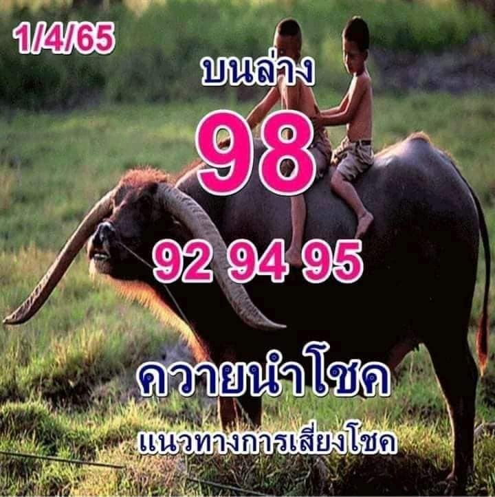 หวยควายนำโชค 1/4/65