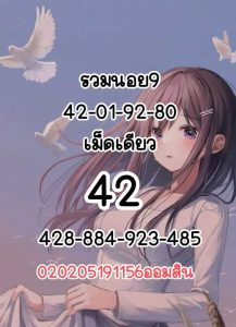 หวยฮานอย 9/4/6 ชุดที่ 9