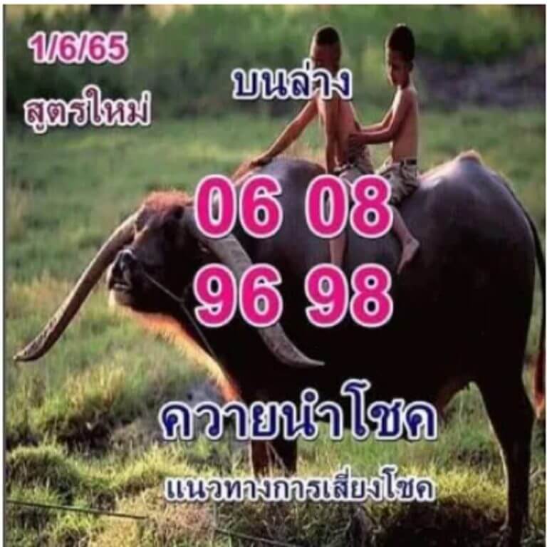 หวยควายนำโชค 1/6/65