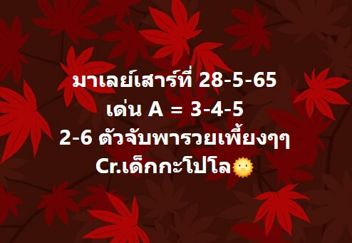 หวยมาเลย์ 28/5/65 ชุดที่ 4