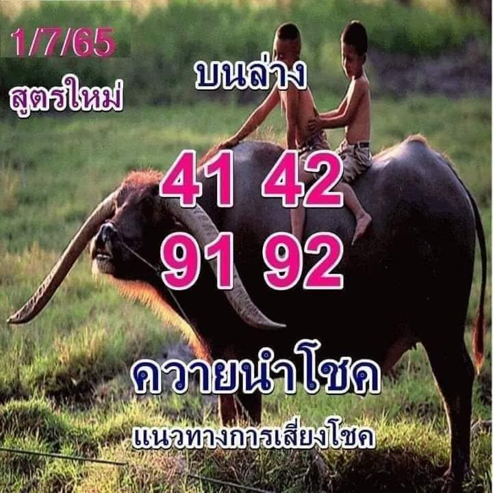 หวยควายนำโชค 1/7/65