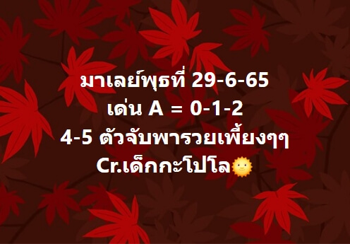 หวยมาเลย์ 29/6/65 ชุดที่ 4