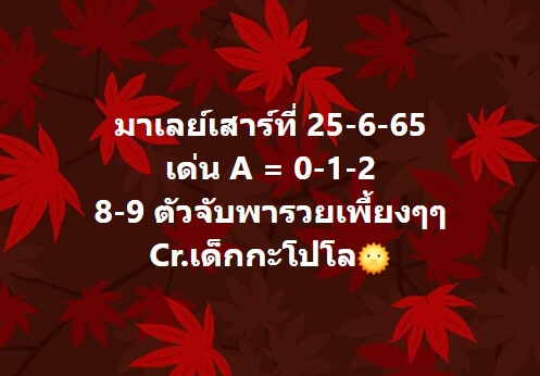 หวยมาเลย์ 25/6/65 ชุดที่ 9