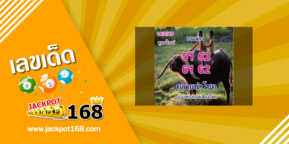 หวยควายนำโชค 16/8/65 แนวทางการเสี่ยงโชค บน-ล่าง สูตรใหม่!