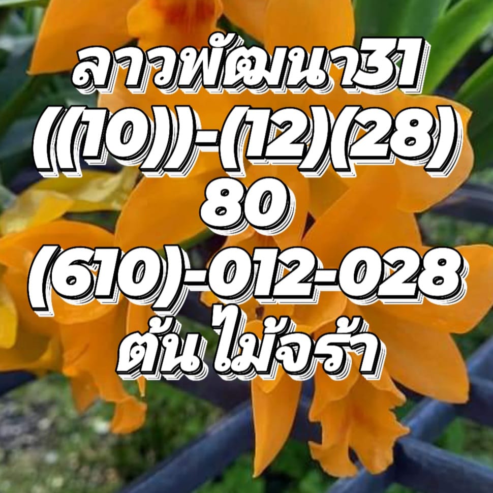 หวยลาว 31/8/65 ชุดที่ 3