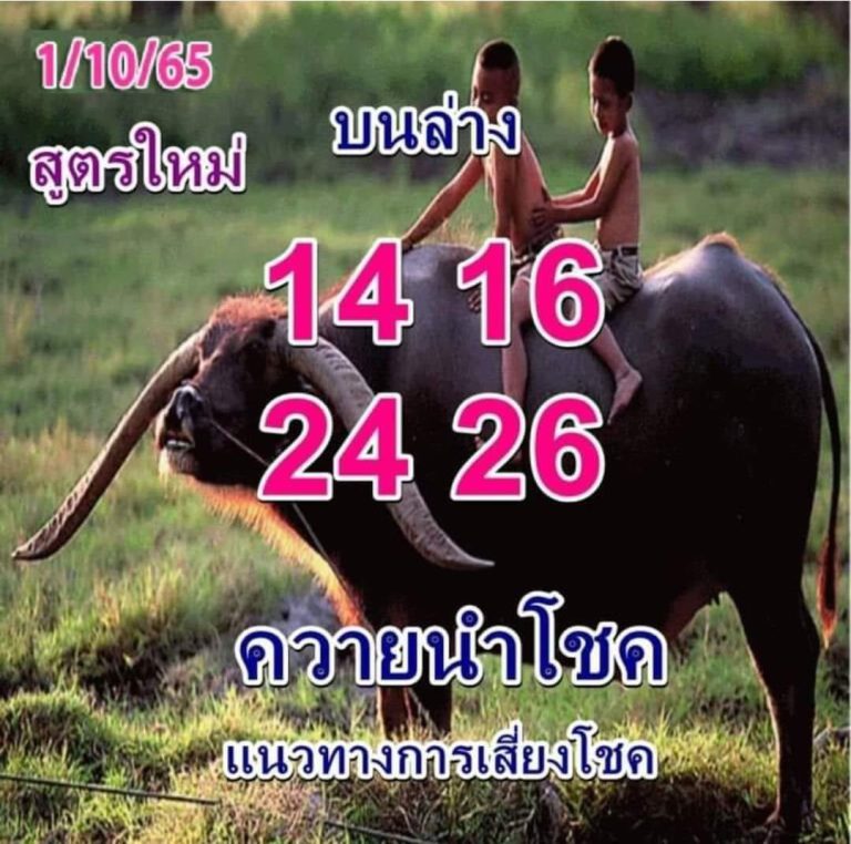 หวยควายนำโชค 1/10/65