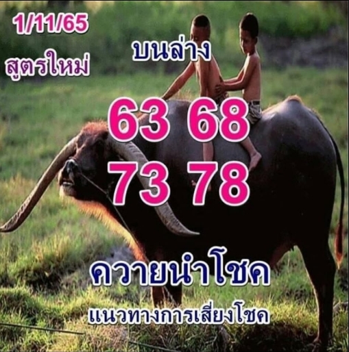 หวยควายนำโชค 1/11/65