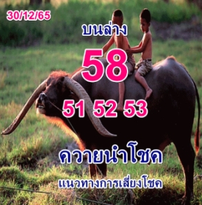 หวยควายนำโชค 30/12/65