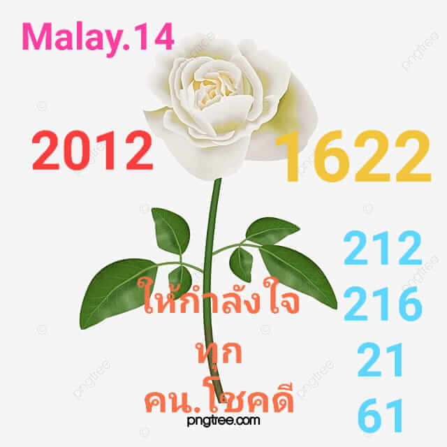 หวยมาเลย์ 14/12/65 ชุดที่ 9