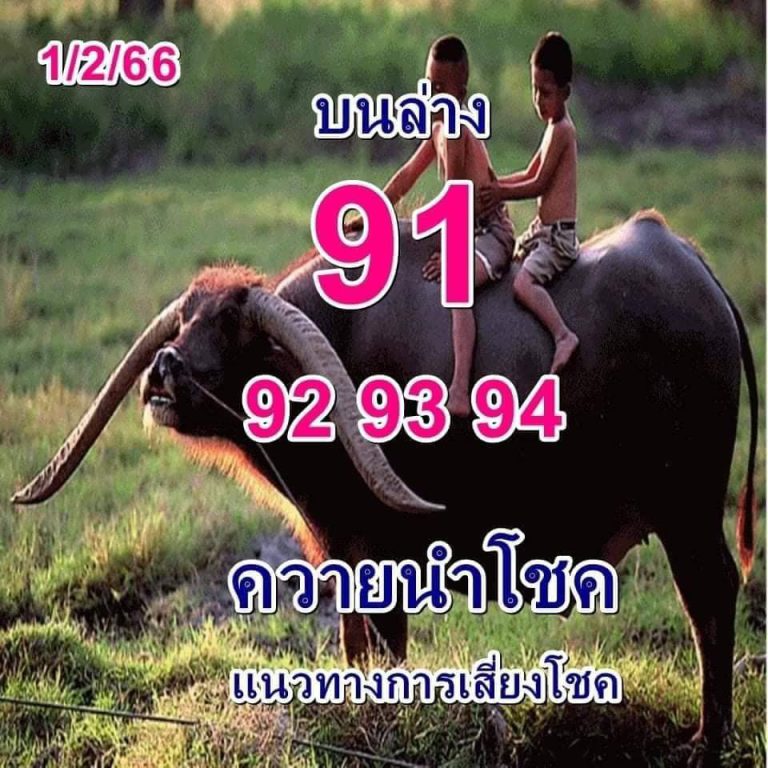 หวยควายนำโชค 1/2/66 