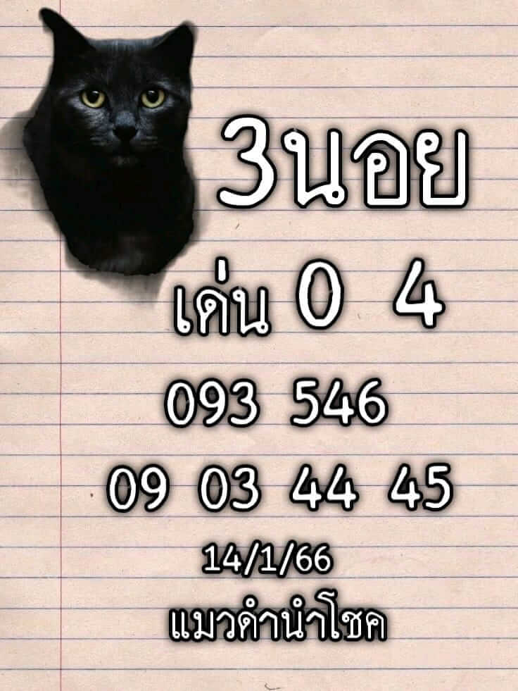 หวยฮานอย 14/1/66 ชุดที่ 2