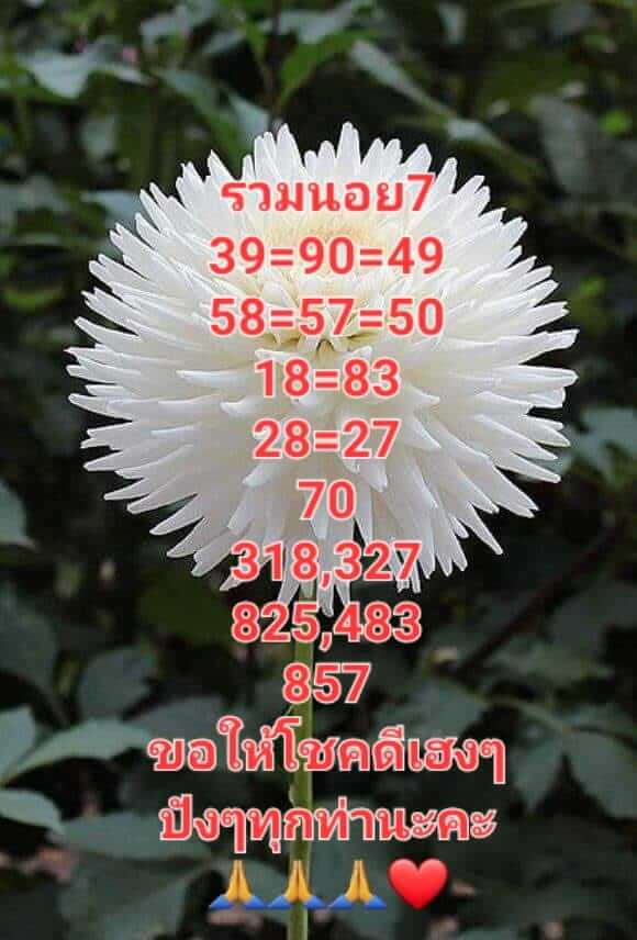 หวยฮานอย 7/1/66 ชุดที่ 3