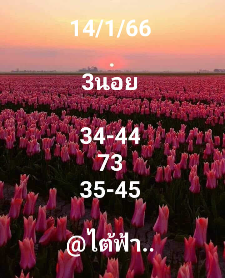 หวยฮานอย 14/1/66 ชุดที่ 4