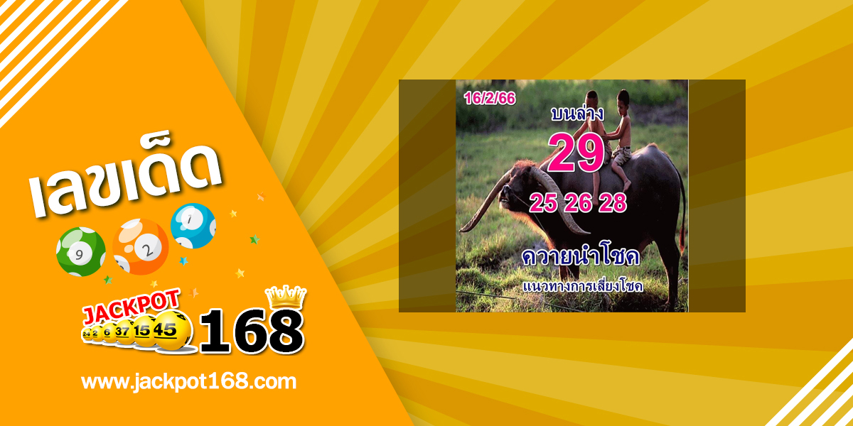 หวยควายนำโชค 16/2/66 แนวทางการเสี่ยงโชค บน-ล่าง สูตรใหม่!