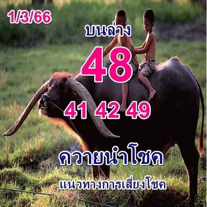 หวยควายนำโชค 1/3/66