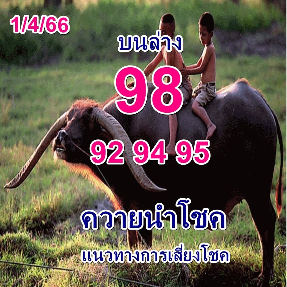 หวยควายนำโชค 1/4/66