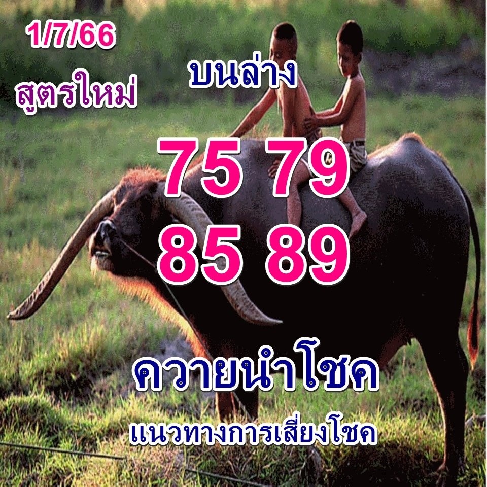 หวยควายนำโชค 1/7/66