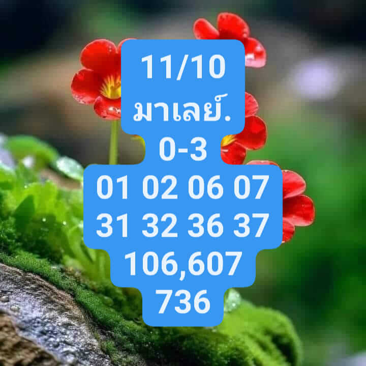 หวยมาเลย์ 11/10/66 ชุดที่ 6