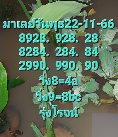 หวยมาเลย์ 22/11/66 ชุดที่ 1