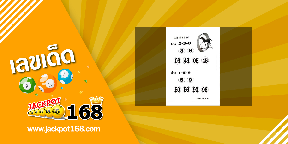 หวยม้านำโชค 16/11/66 แนวทางหวยวิ่ง บน-ล่าง!