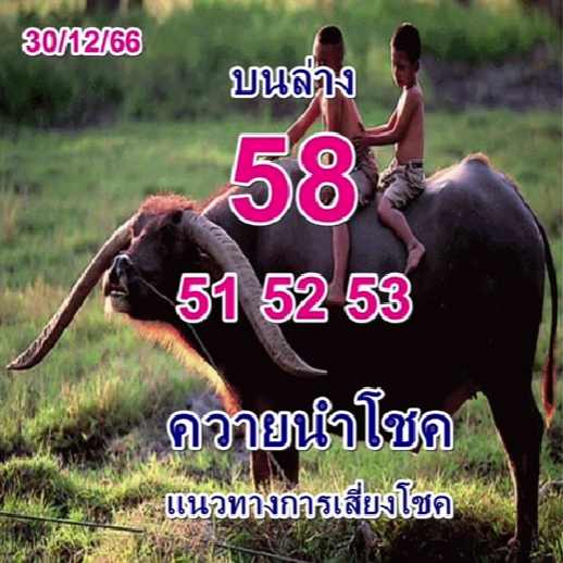 หวยควายนำโชค 30/12/66