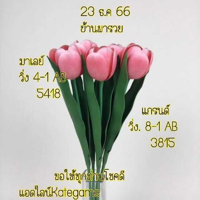 หวยมาเลย์ 30/12/66 ชุดที่ 6