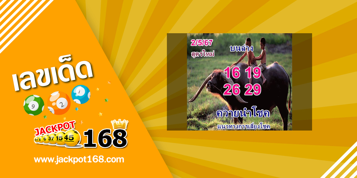 หวยควายนำโชค 2/5/67