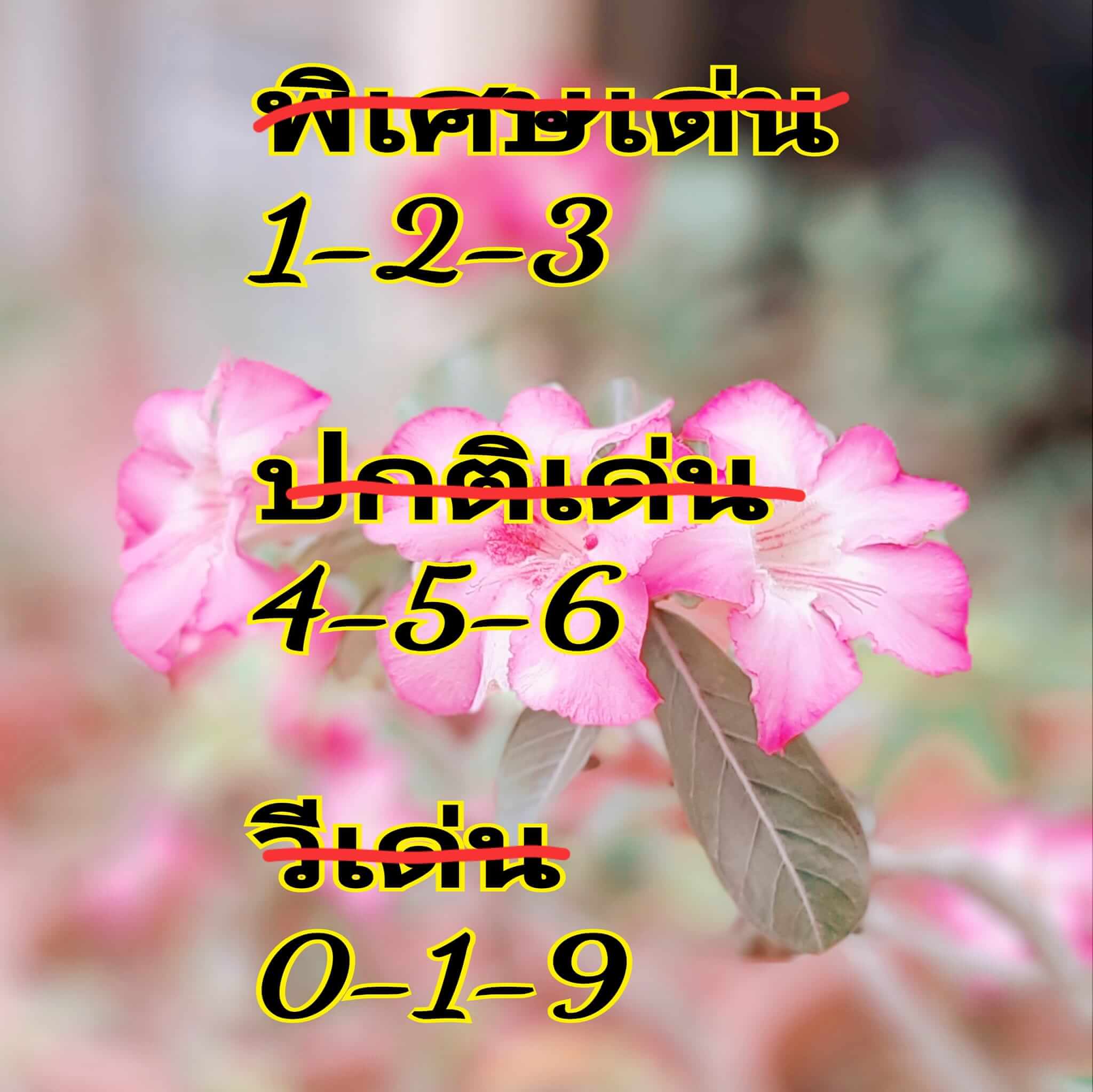 หวยฮานอย 15/4/67 ชุดที่ 2