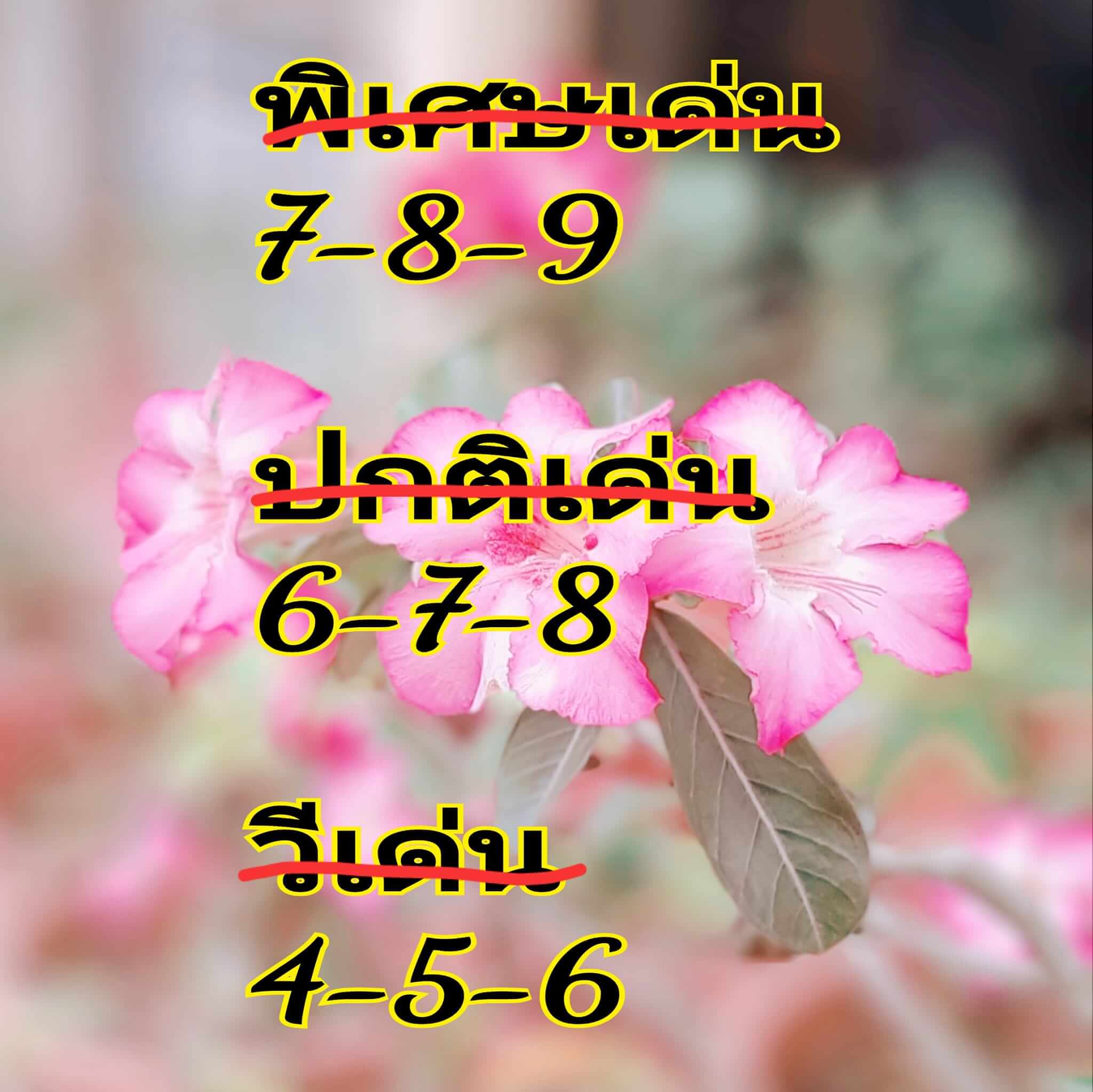 หวยฮานอย 23/4/67 ชุดที่ 2