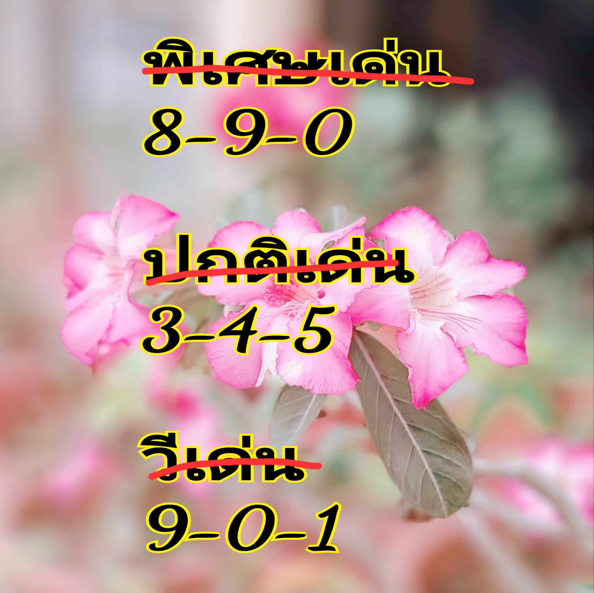 หวยฮานอย 30/4/67 ชุดที่ 2