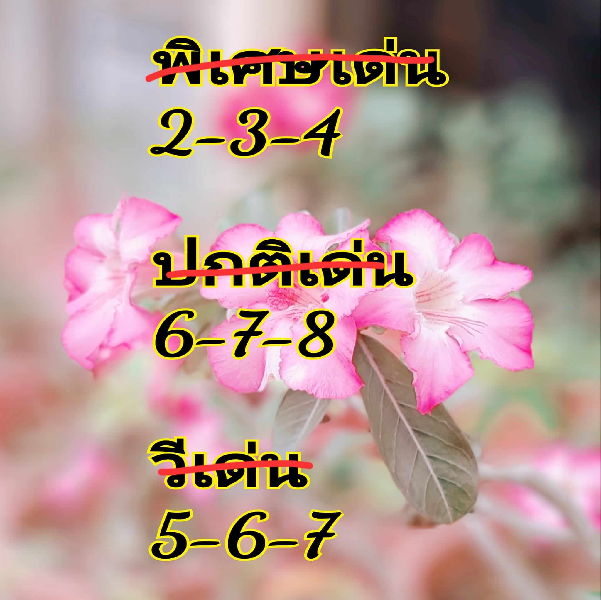 หวยฮานอย 18/4/67 ชุดที่ 4