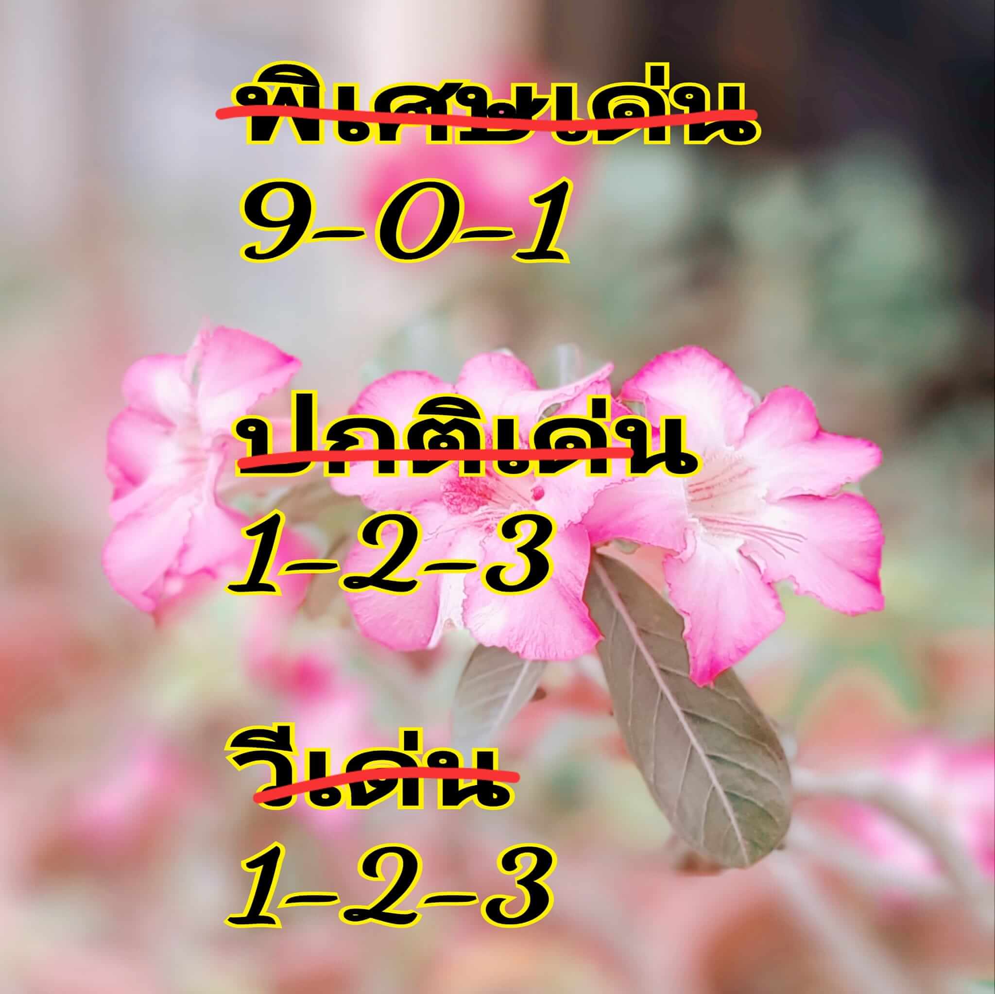 หวยฮานอย 27/4/67 ชุดที่ 4