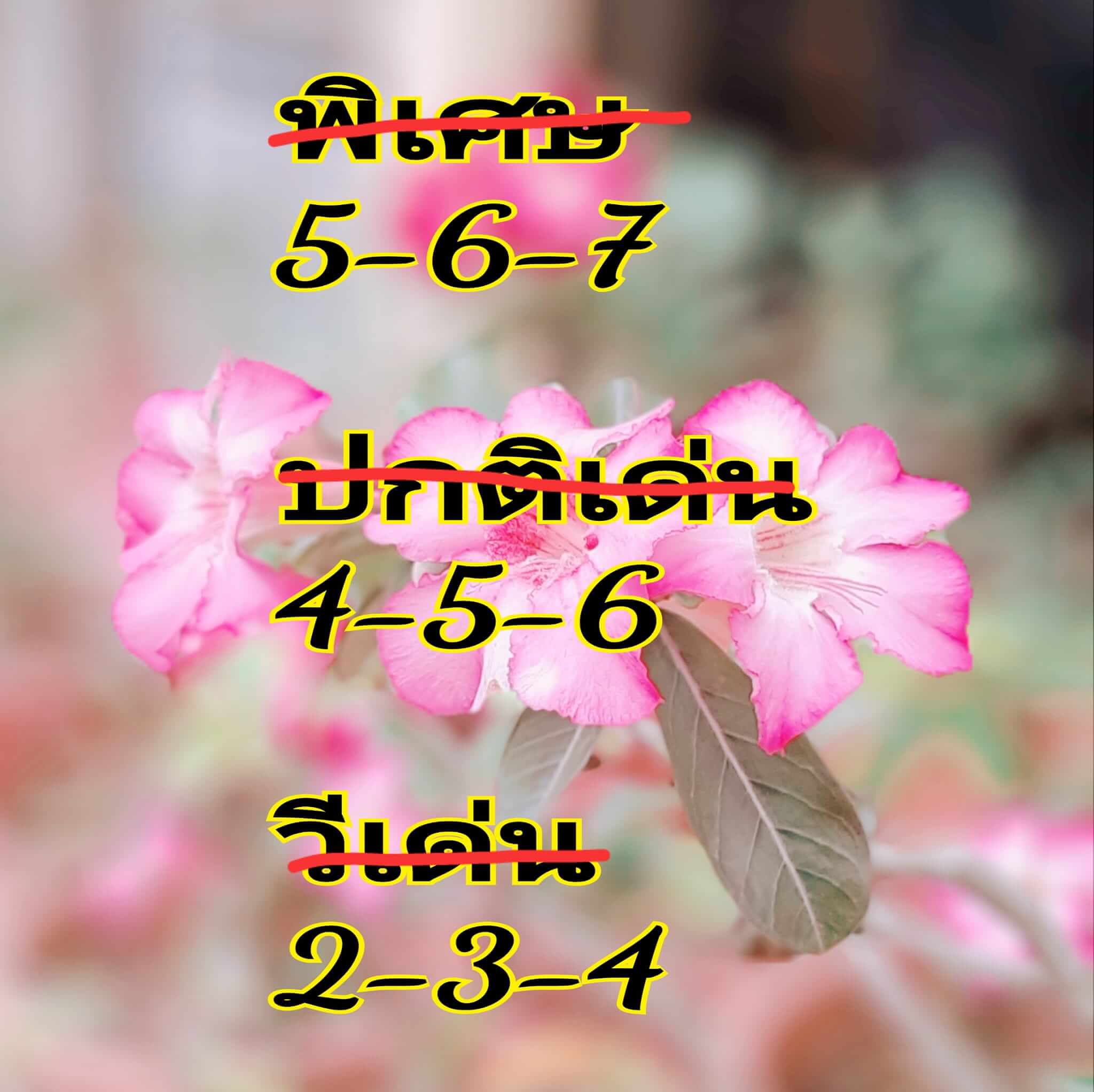 หวยฮานอย 29/4/67 ชุดที่ 8